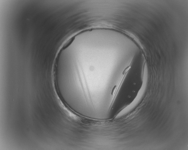 X0000071971387200608041634