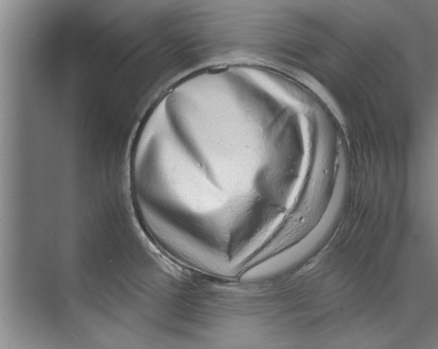 X0000071971388200608041634