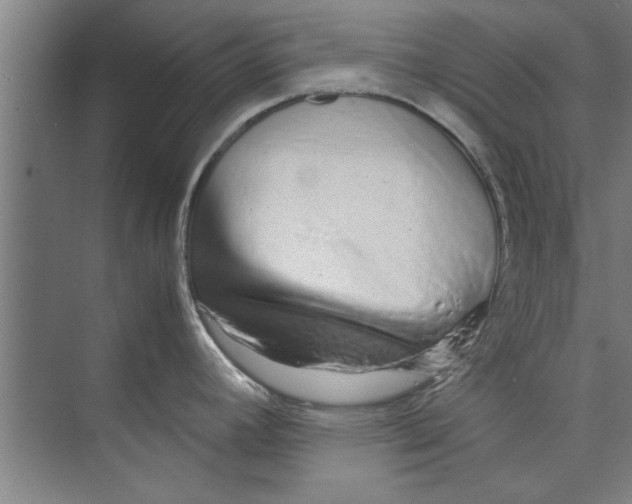 X0000071971392200608041634