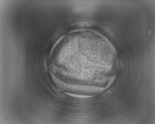 X0000071971396200608041634