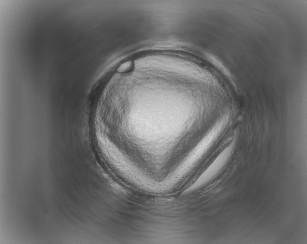 X0000071971456200608041633