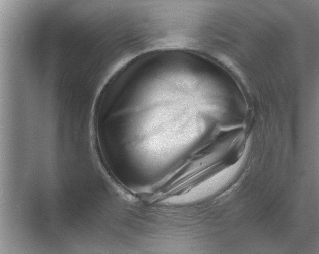 X0000071971469200608041633