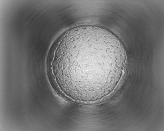 X0000071971474200608041633