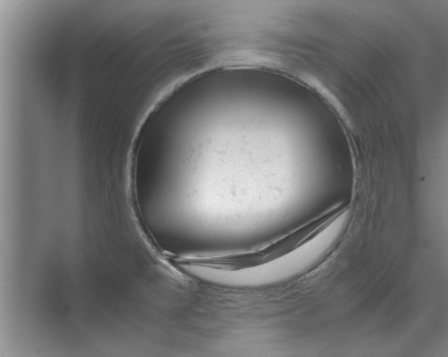 X0000071971477200608041633