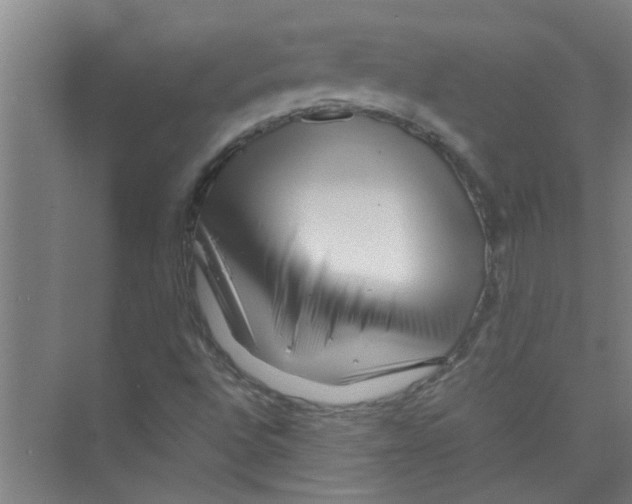 X0000071971496200608041632