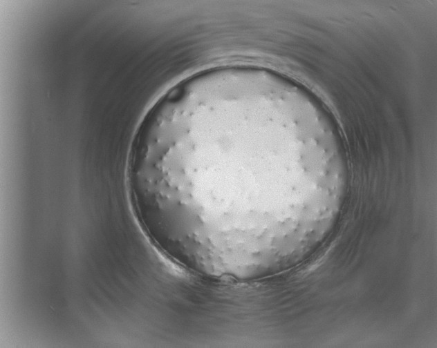 X0000071971533200608041633