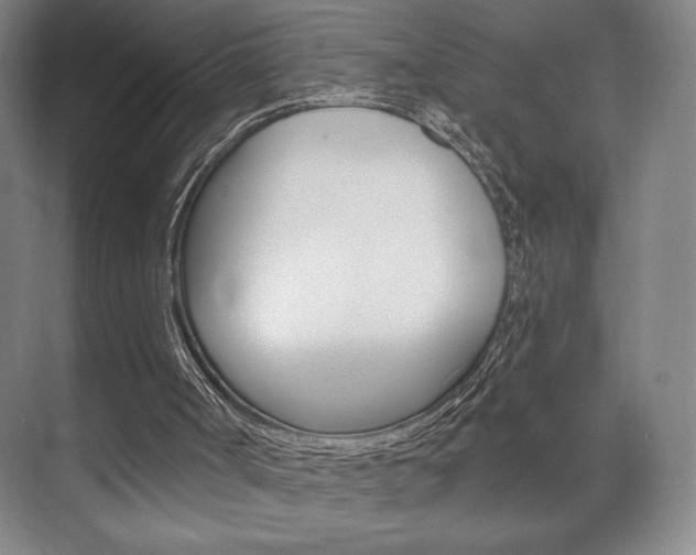 X0000072490002200607140922