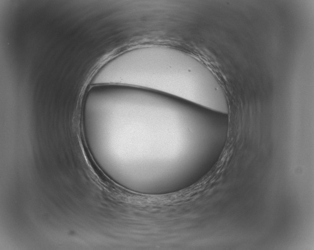 X0000072490003200607140922