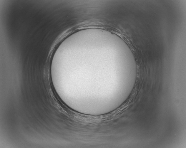 X0000072490004200607140922
