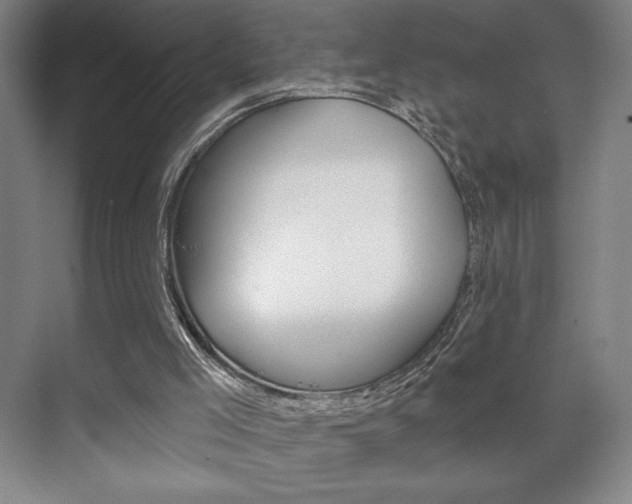 X0000072490005200607140922