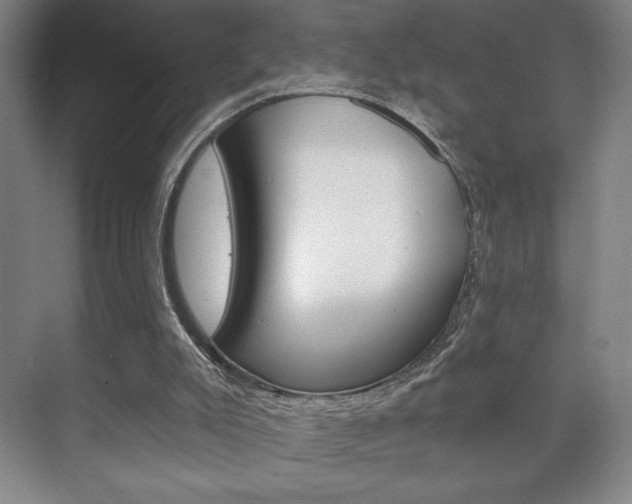 X0000072490007200607140922