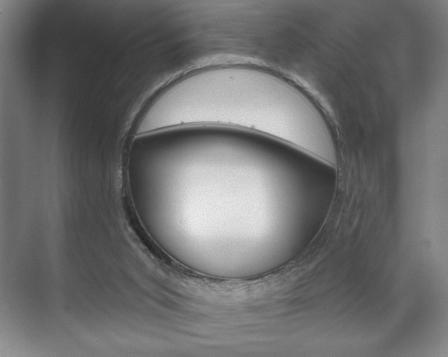 X0000072490015200607140922