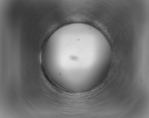 X0000072490019200607140922