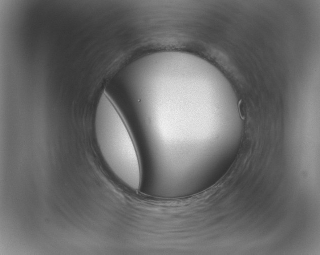 X0000072490021200607140922