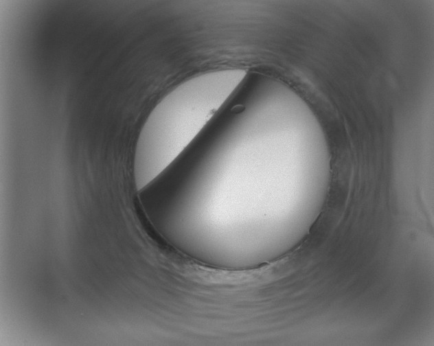 X0000072490031200607140922