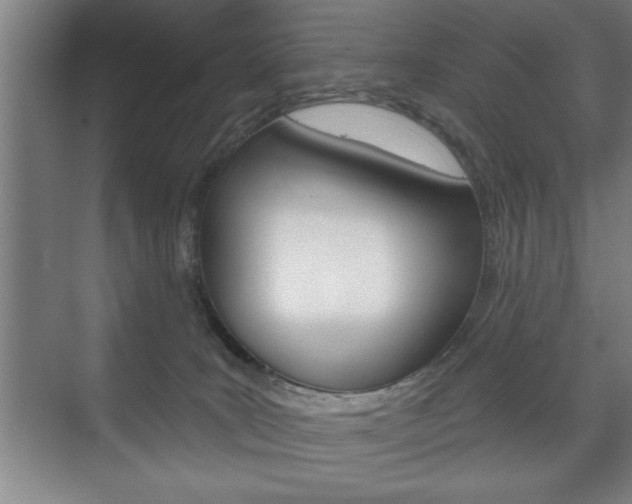 X0000072490035200607140922