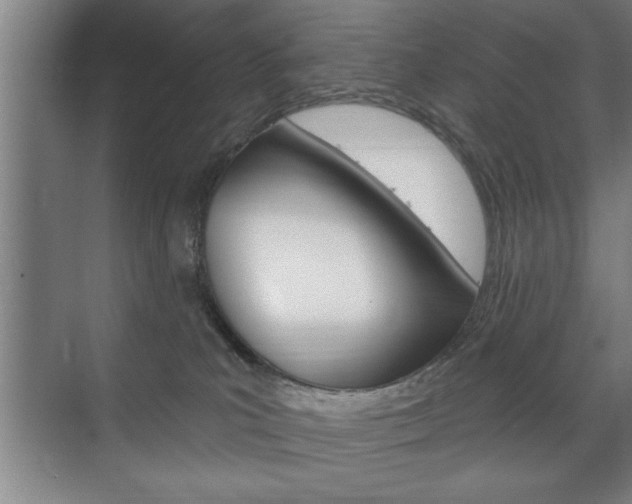 X0000072490039200607140922