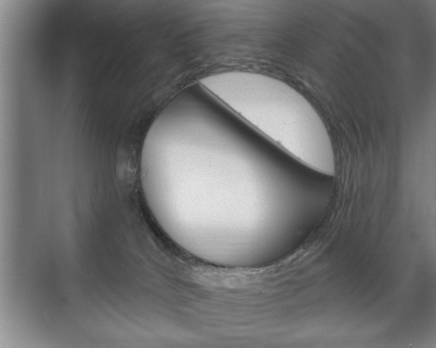 X0000072490040200607140922