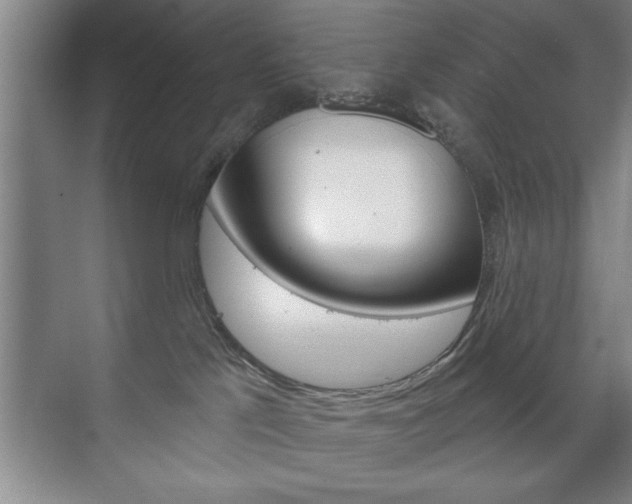 X0000072490041200607140922