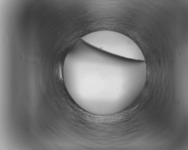 X0000072490046200607140922