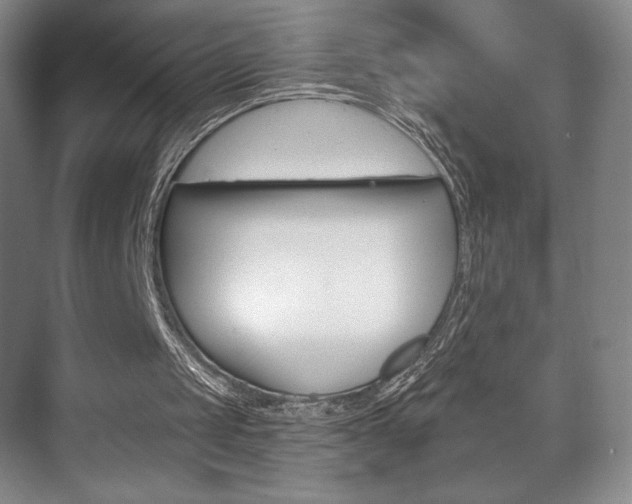 X0000072490049200607140921