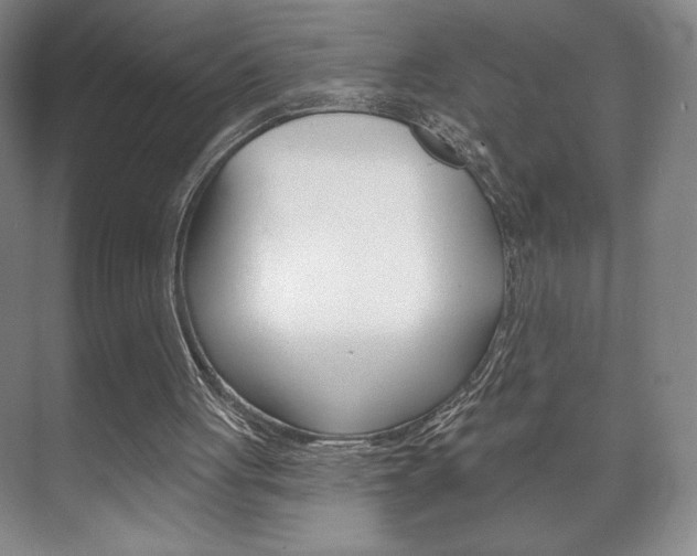X0000072490051200607140921