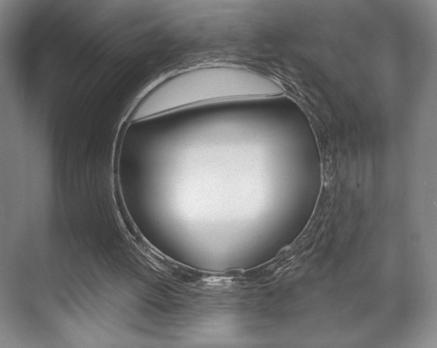X0000072490052200607140921