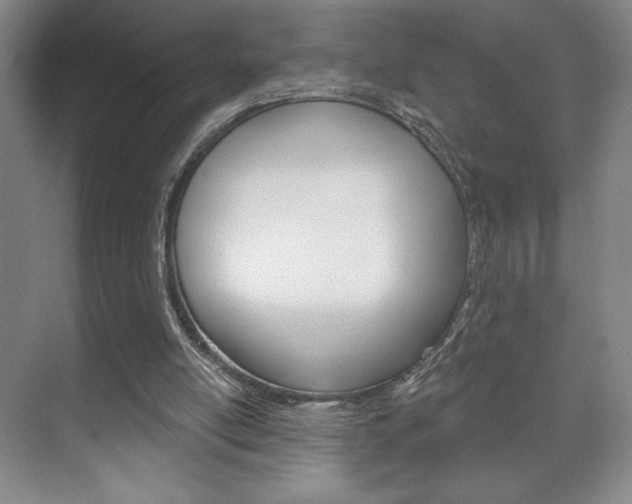 X0000072490054200607140921