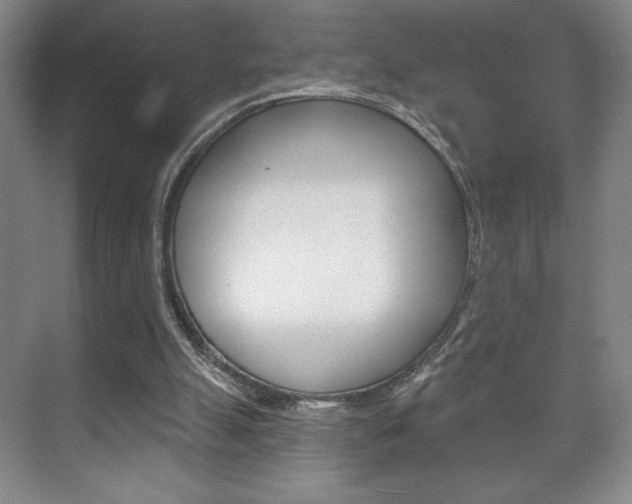 X0000072490055200607140921