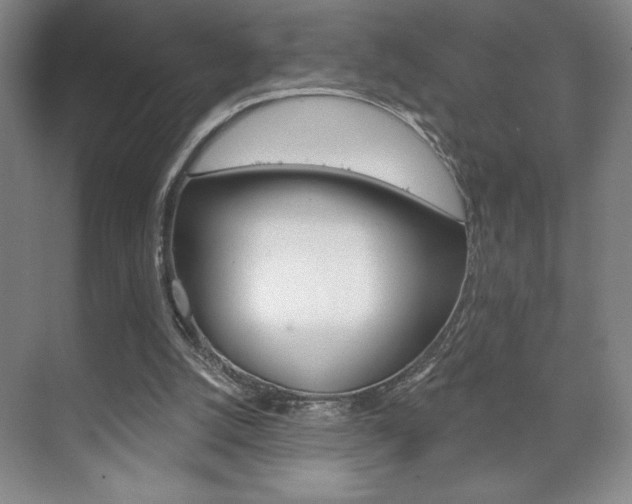 X0000072490056200607140921