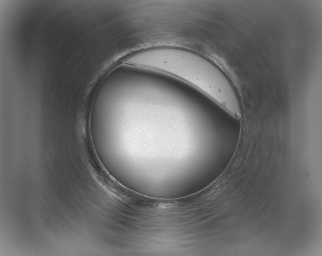 X0000072490060200607140921