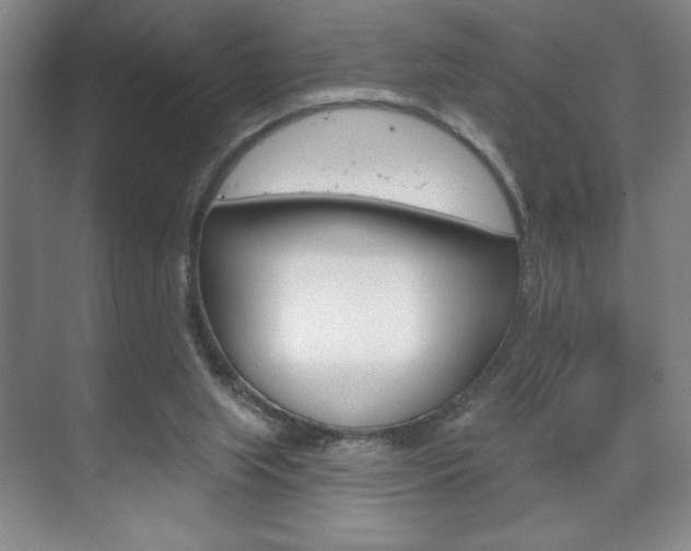 X0000072490063200607140921