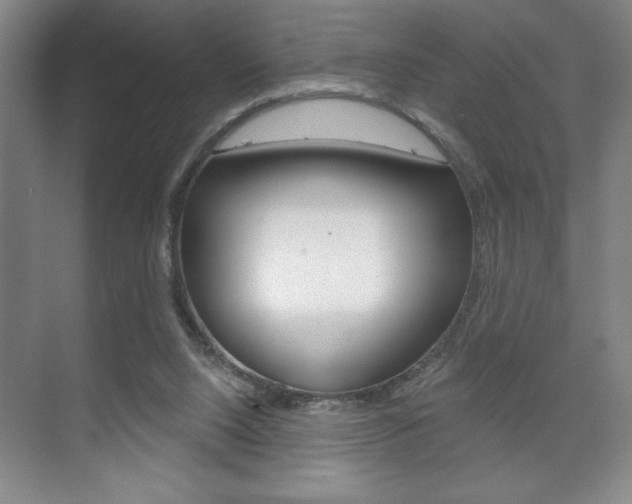 X0000072490064200607140921
