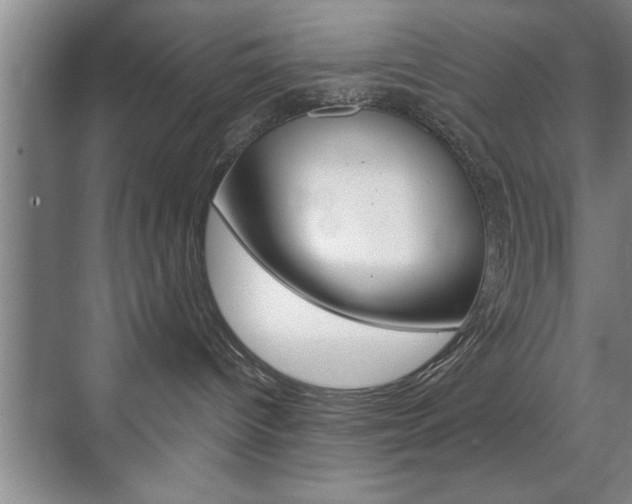 X0000072490096200607140921