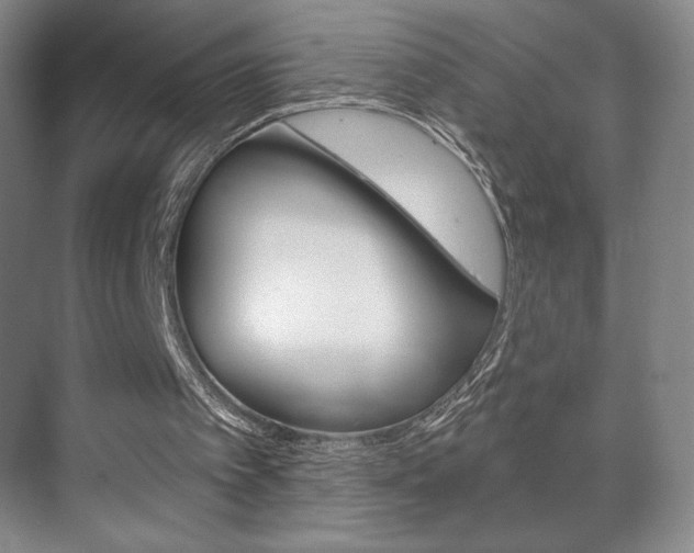 X0000072490097200607140921