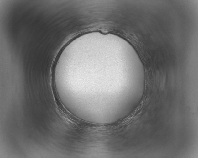 X0000072490100200607140921