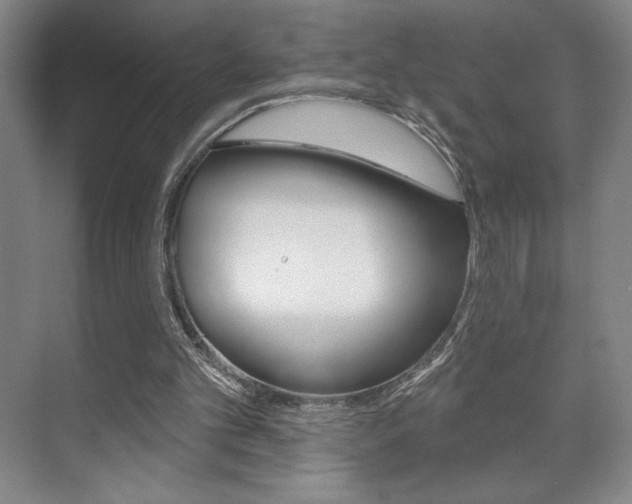X0000072490101200607140921