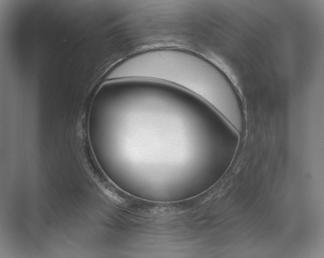 X0000072490105200607140921