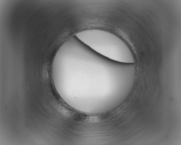 X0000072490114200607140920