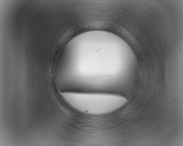 X0000072490119200607140920