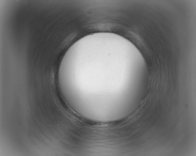 X0000072490120200607140920