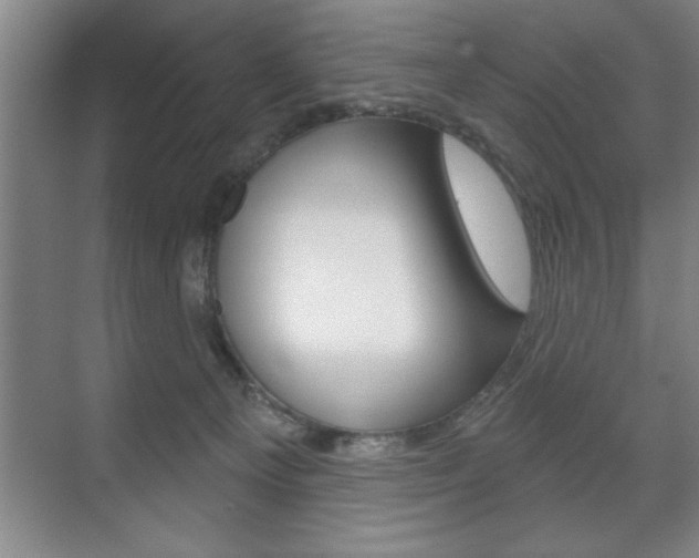 X0000072490129200607140920