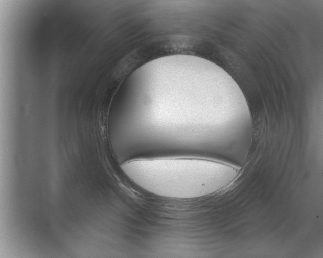 X0000072490140200607140920