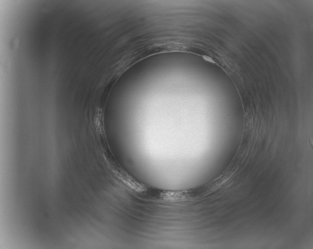 X0000072490141200607140920