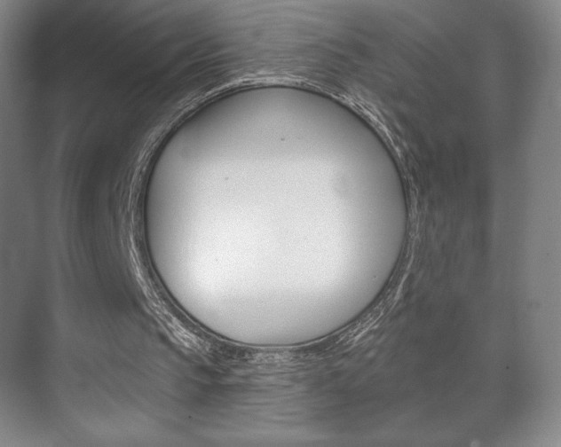 X0000072490145200607140919