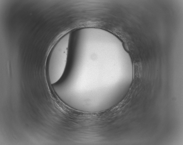 X0000072490147200607140919