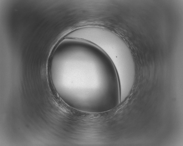 X0000072490148200607140919