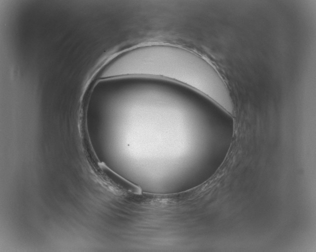 X0000072490152200607140919