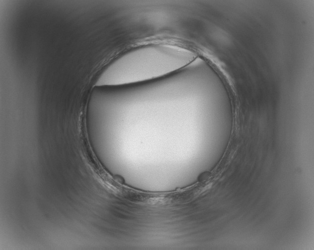X0000072490153200607140919