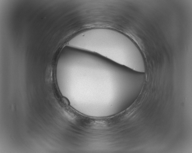X0000072490157200607140919